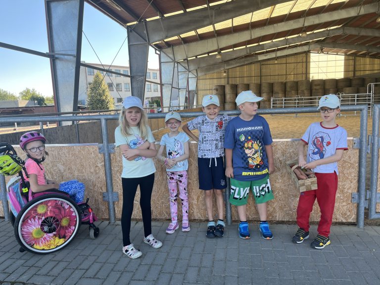 HIPOTERAPIE – DRUHÁCI