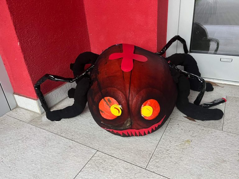 VIII. třída prožívá podzim plný aktivit