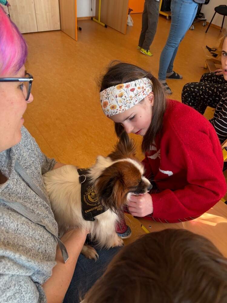 Papillonci v hlavní roli