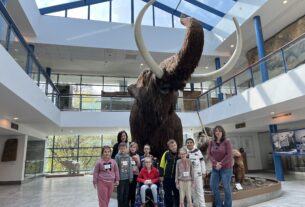 DRUHÁCI v Anthroposu