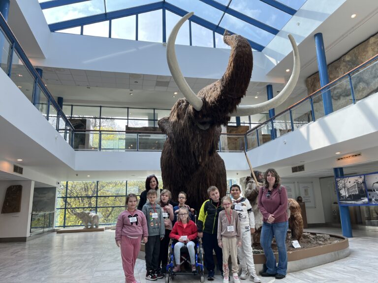 DRUHÁCI v Anthroposu